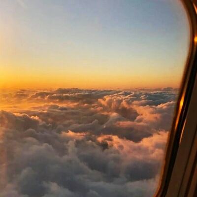 乐鱼平台app下载官网