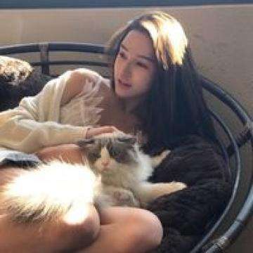 开云体云app手机app下载